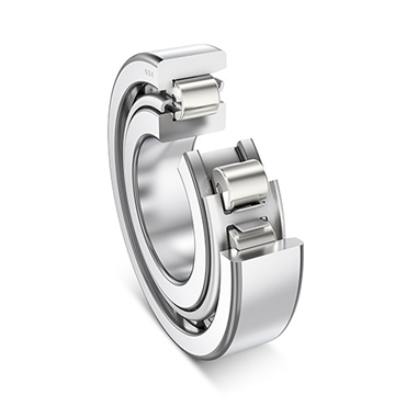 200 Series Cylindrical Roller Bearing